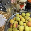 granmaria's cooksnap of when they made 梅講師直伝㊹干さない低塩梅干し（梅漬け）.