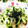 クッキン坊主's cooksnap of when they made ハマる！きゅうりの冷たいお茶漬け.