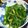 sunujiro's cooksnap of when they made 生ピーマンを中華風にして食す☆.