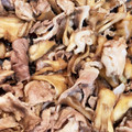 ☆ドキンちゃん☆”'s cooksnap of when they made 激うま☆店レシピ☆平茸と豚こま肉の炒め物.