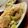 MULA's cooksnap of when they made 鶏皮にんにく炒め　wiz ズッキーニ.
