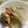 ぽちねこ。's cooksnap of when they made 粉なし♪袋ひとつで作る簡単おからクッキー.