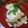 Giant corn's cooksnap of when they made 炊飯器で　簡単カオマンガイ（海南鶏飯）.