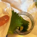 大阪のちゃーちゃん's cooksnap of when they made 簡単！やみつき！ 大葉のにんにく醤油漬け.