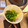 大阪のちゃーちゃん's cooksnap of when they made 茄子とししとうの煮浸し.
