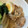 のりアイス's cooksnap of when they made 焼き大根と豚肉の煮もの.