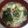 precious☆'s cooksnap of when they made えのきと卵とワカメのスープ・中華風スープ.
