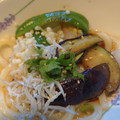 あき姫ちゃん's cooksnap of when they made さっぱりとろとろしらすうどん.