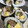 くまみほ99's cooksnap of when they made 節分の恵方巻きにも【韓国巻き寿司キンパ】.