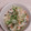 アクセル☆'s cooksnap of when they made 水菜と桜えびの混ぜ混ぜご飯✿.