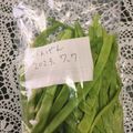 みちばたの花's cooksnap of when they made インゲンの保存方法.