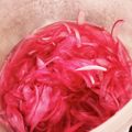 こずっぺ's cooksnap of when they made 簡単☆酢玉ねぎと活用法.