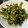 ＭＩ−ＳＡＮ's cooksnap of when they made ししとうのおかか炒め.