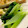 MULA's cooksnap of when they made 余った納豆のタレで小松菜のからし和え.