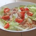 きらり流れ星's cooksnap of when they made 【京都丹波】サラダうどん.