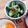 最高ﾋﾟｰﾏｿ's cooksnap of when they made きゅうりのめんつゆ浅漬け.