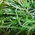 あゆたっくん's cooksnap of when they made 豆苗の簡単おひたし.
