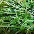 あゆたっくん's cooksnap of when they made 豆苗の簡単おひたし.