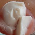 kanapanko's cooksnap of when they made 豆腐料理店の嶺岡豆腐 簡単再現レシピ.