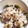 lazy8's cooksnap of when they made 夏ご飯☆梅干し&みょうが飯.