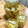 ぽろっとＱちゃん's cooksnap of when they made らっきょうの甘酢漬け.