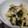 fu♪♪'s cooksnap of when they made キャベツときゅうりとわかめのごま和え.
