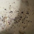 秀狼1011's cooksnap of when they made オートミールで簡単♪きのこチーズリゾット.