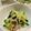 CHISA☆ごはん♪'s cooksnap of when they made 混ぜるだけ☆きゅうりとえのきのワサビ和え.
