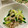 CHISA☆ごはん♪'s cooksnap of when they made 混ぜるだけ☆きゅうりとえのきのワサビ和え.