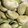 クック4ATSIP☆'s cooksnap of when they made ほくほくおいしい サヤごと茹でそらまめ.