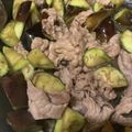 吉井さん☆'s cooksnap of when they made 豚ばら薄切り肉となすの塩麹照り焼き.
