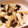 クリーピングタイム☆'s cooksnap of when they made 椎茸と長芋の麺つゆバター炒め.