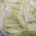 ささささ＆＊'s cooksnap of when they made 試して実感！キャベツの保存法.