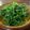 ちっちさん。's cooksnap of when they made おかひじきのサラダ.