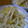 ミッチェルズ's cooksnap of when they made もやしとたくわん異色の炒め物.