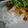 Giant corn's cooksnap of when they made ジャスミンライスを炊飯器で炊くのだ！.