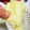 クックM96XDX☆'s cooksnap of when they made とうもろこしの粒を綺麗にはずすには☆.