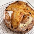 タラまよ's cooksnap of when they made リスドォルdeカンパーニュ＊ホシノ酵母.