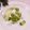 クックHG9V8Y☆'s cooksnap of when they made 簡単のせるだけ胡瓜飾り花サラダ.