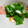 ひんべえ's cooksnap of when they made いつかあなたと♡ きぬさやのバター醤油炒.