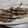 クックMGZ132☆'s cooksnap of when they made 簡単!!フライパンで上手にししゃも焼く.