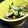 PIROSAN510's cooksnap of when they made 塩もみナス&キュウリ&ミョウガ+しらす.