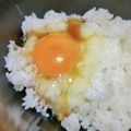 まーく71's cooksnap of when they made 焼き肉のタレで卵かけご飯.