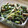 ガメコ's cooksnap of when they made いんげんと油揚げの煮物.