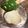 みに⑅'s cooksnap of when they made おからパウダーで生おから.