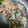 クックpichan's cooksnap of when they made 旬の野菜で＊料理学校で習った上品な白和え.