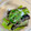 ゆうともままっち's cooksnap of when they made さっぱり♪きゅうりとみょうがの塩昆布和え.