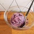しろろう's cooksnap of when they made 豆乳ブルーベリーアイス.