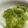 クックVPIBP1☆'s cooksnap of when they made 冷凍枝豆で簡単 ずんだ餅 ずんだ餡.