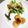 ☆あさ's cooksnap of when they made 水菜サラダ☆ポークビッツレモン風味.